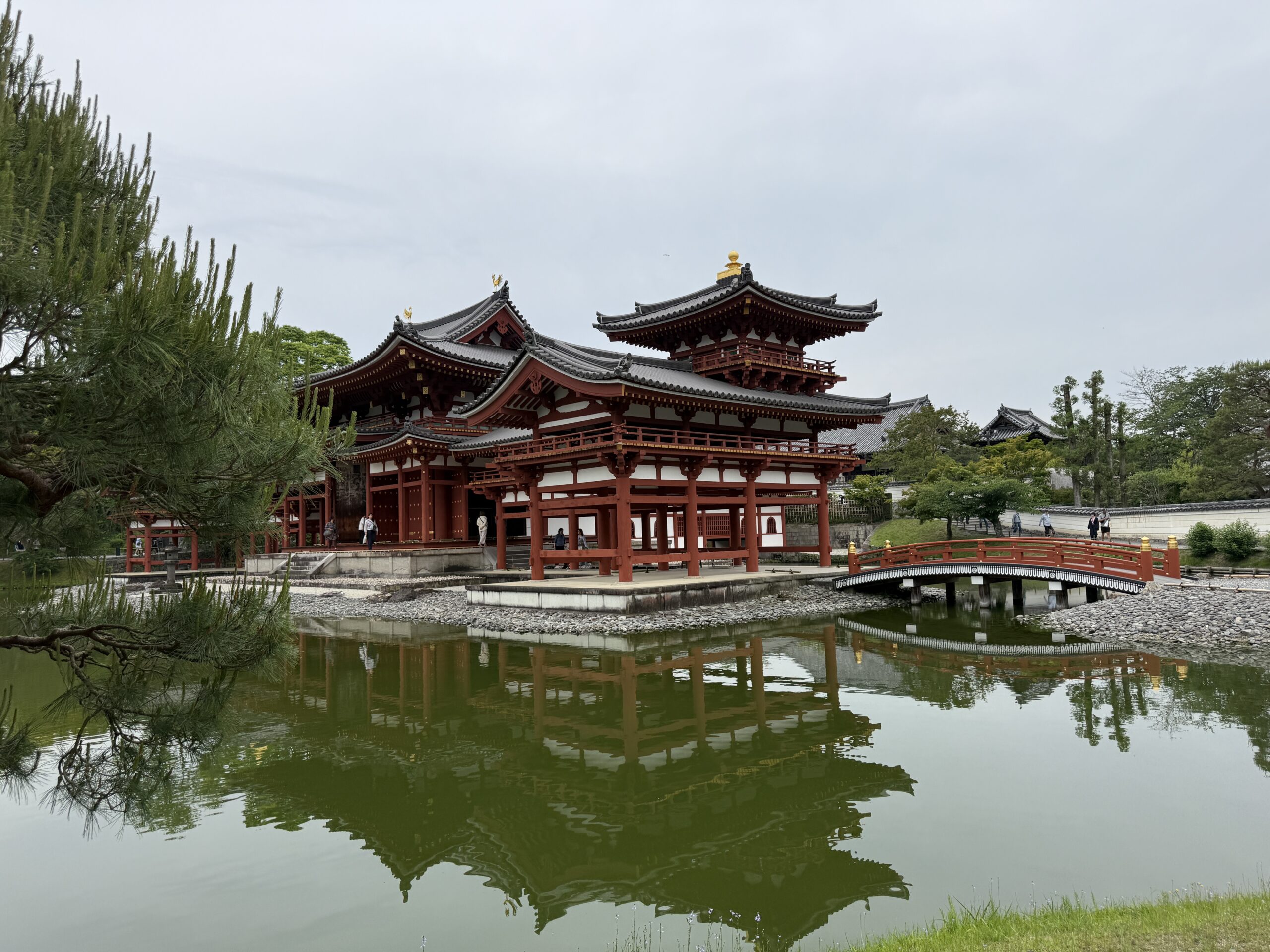 Uji tea tasting and Byodo temple