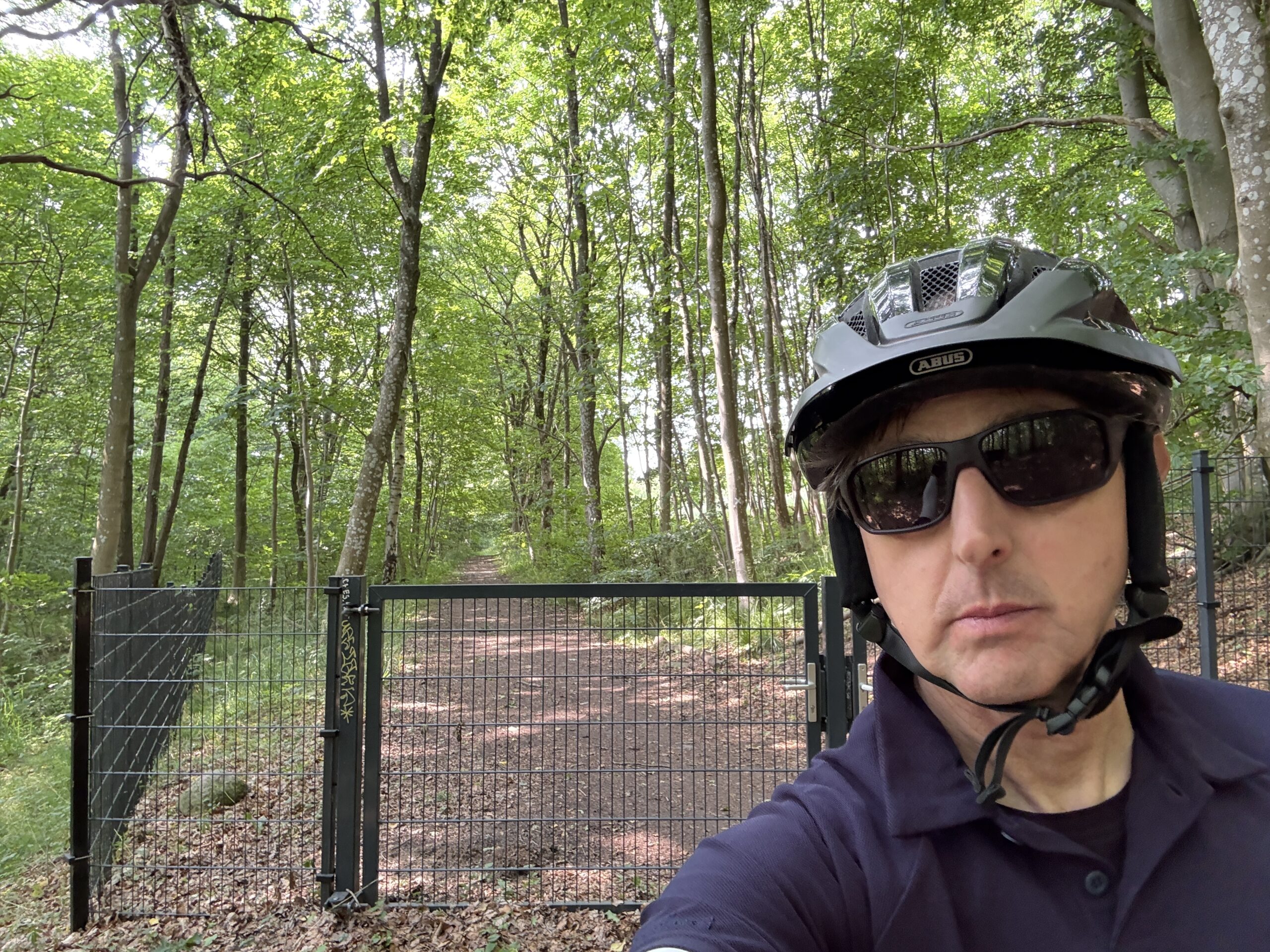 Jels to Schleswig – Germany